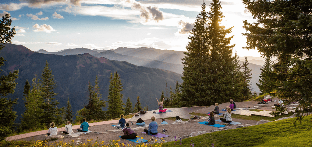 Yoga for Beginners Course